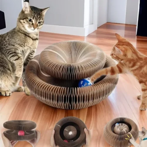 Kitten Curl Toy Foldable