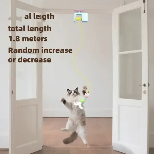 Door Hanging Cat Toy